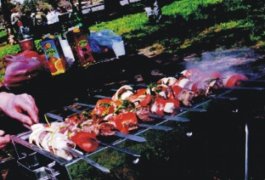 כל הארץ דגלים ומנגלים