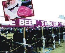 הבשר הכי רך בעולם: קובה (Kobe) ביף